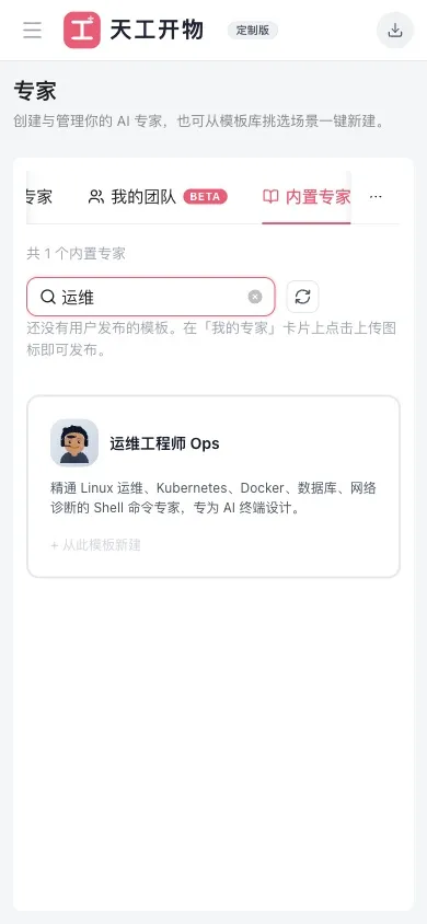 运维专家模板